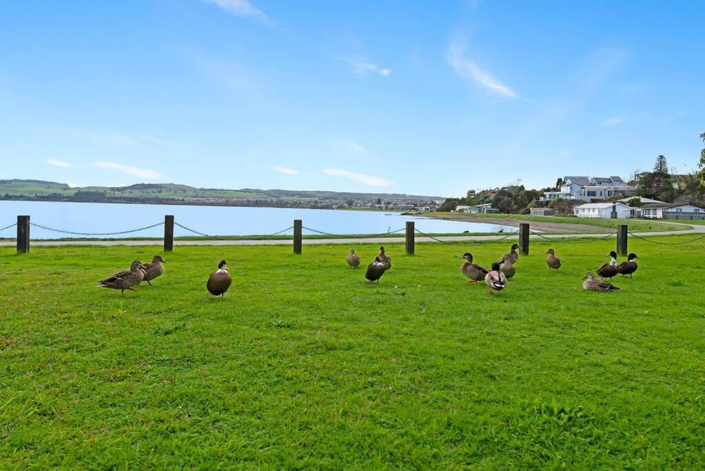 Waimahana - Luxury By The Lake Taupo Zewnętrze zdjęcie
